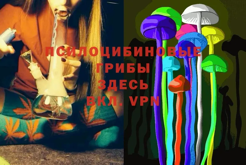 как найти закладки  Димитровград  Псилоцибиновые грибы MAGIC MUSHROOMS 